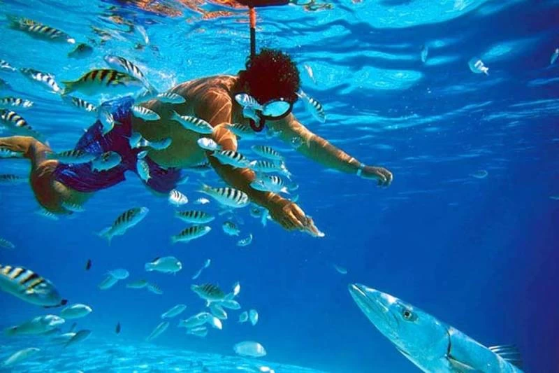 Coloured Canyon & Dahab Oasis Day Tour