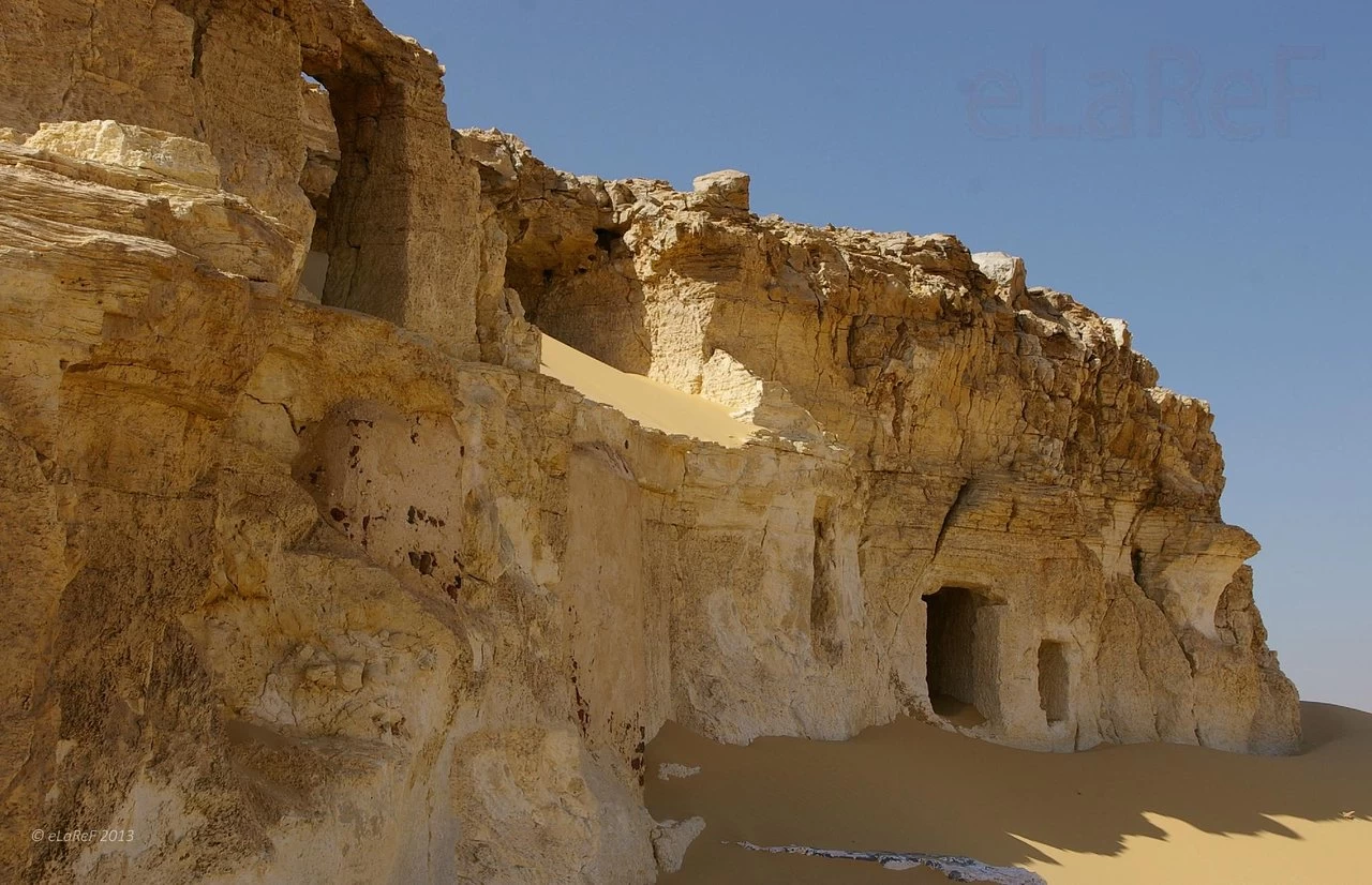 Fayoum Oasis, Magic Lake & Sandboarding Day Trip