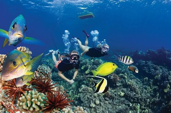 7 Days Luxury Cairo & Sharm El Sheikh Package