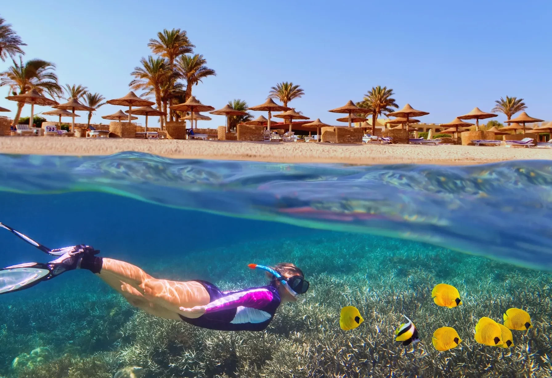 Full-Day Giftun Island Snorkeling Tour