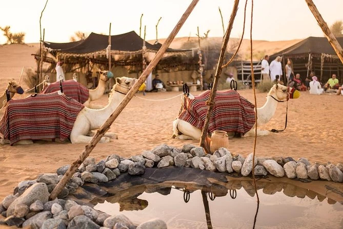 Hurghada Desert Safari & Bedouin Village Experience