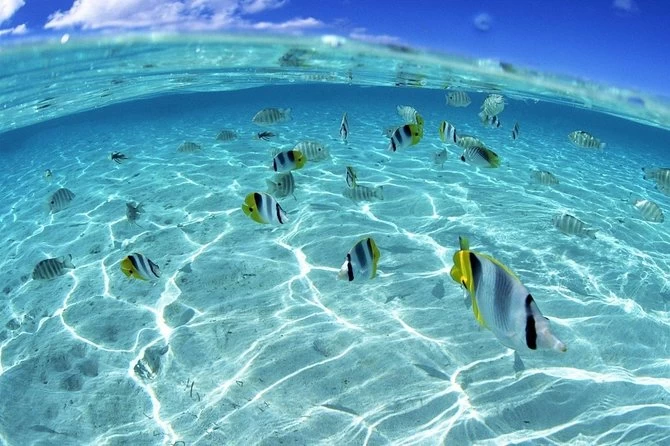 Orange Bay Island Snorkeling Adventure from Hurghada
