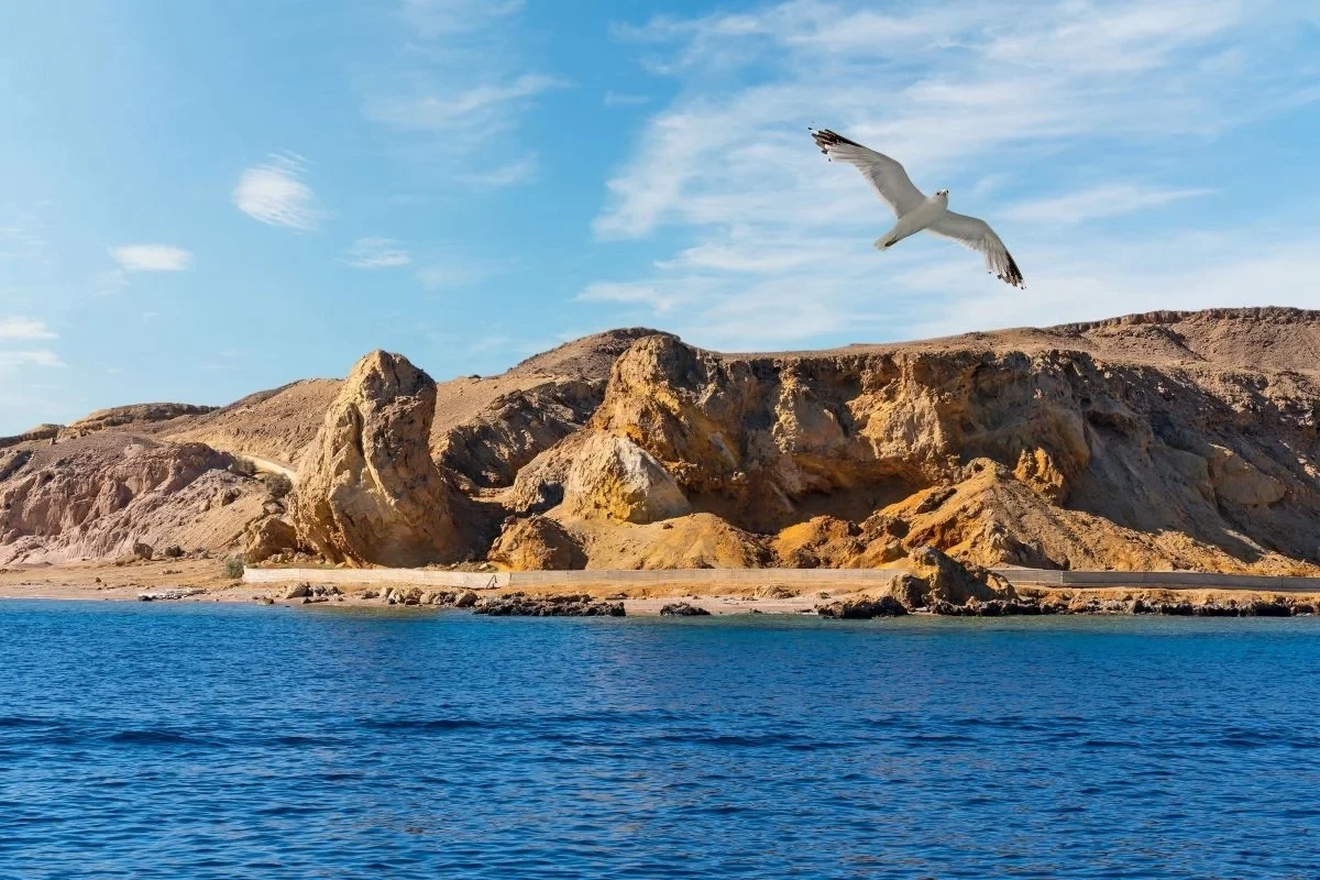 Ras Mohamed Boat Trip from Sharm El Sheikh