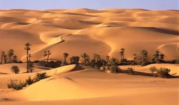 Bahariya Oasis Safari Trip