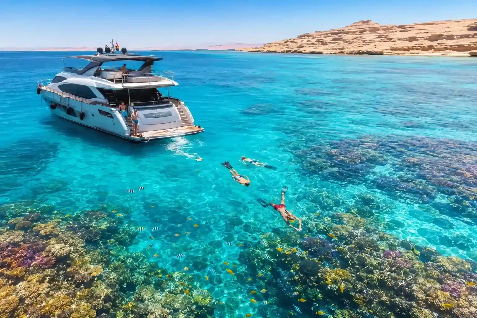 Safaga Port to Hurghada Snorkeling Tour