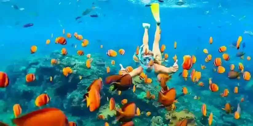 Hurghada day tours