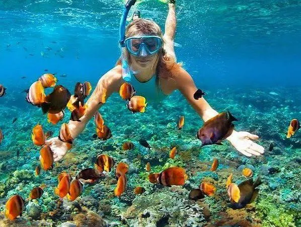 Top Dive Sites in Sharm El Sheikh