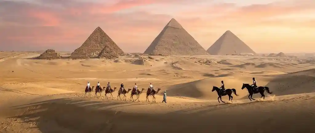 Camel Riding vs. Horse Riding: Which Should You Choose?
