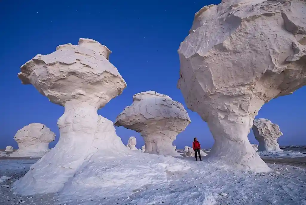 The White Desert: A Lunar Landscape on Earth
